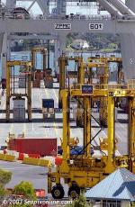 ID 1862 PORT OF AUCKLAND, NZ - Straddle carriers swarm across the quayside during loading operations, Axis Fergusson Container Terminal.
